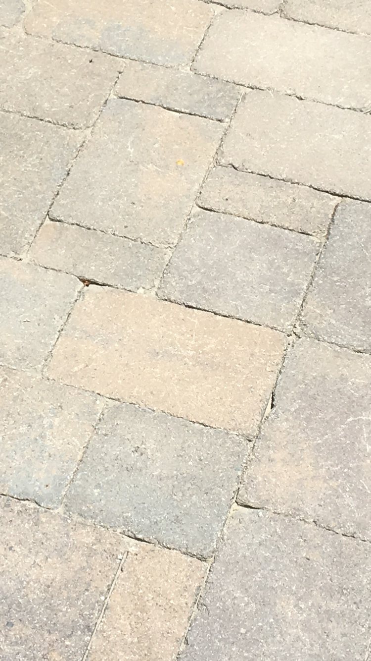 Pavers — before.