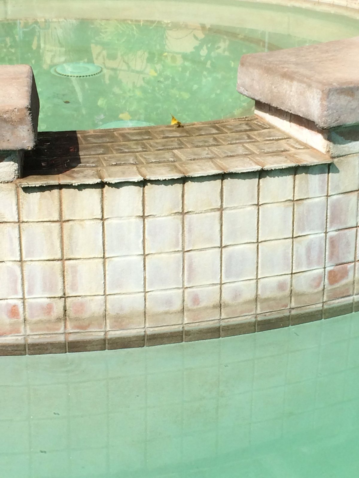 Pool tile — before.